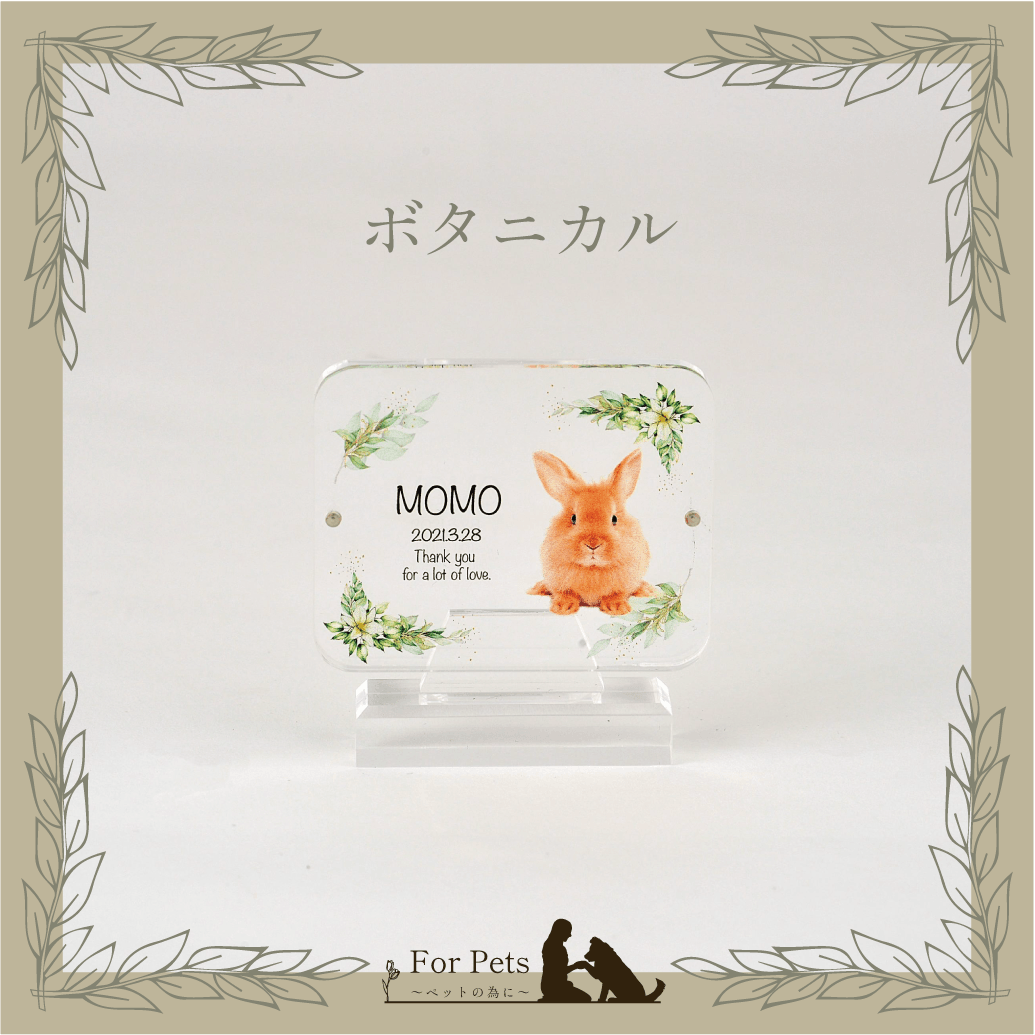 王一博 透明 アクリルカード　全4種セット　確認用 0813 王一博 透明 アクリルカード 全4種セット 確認用 0813 肖戦